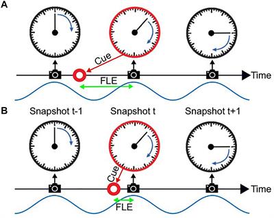 Visual Entrainment at 10 Hz Causes Periodic Modulation of the Flash Lag Illusion